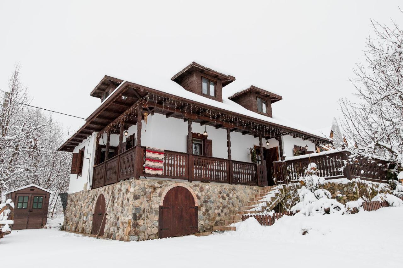 Villa Casa Cu Cerdac à Nucşoara Extérieur photo