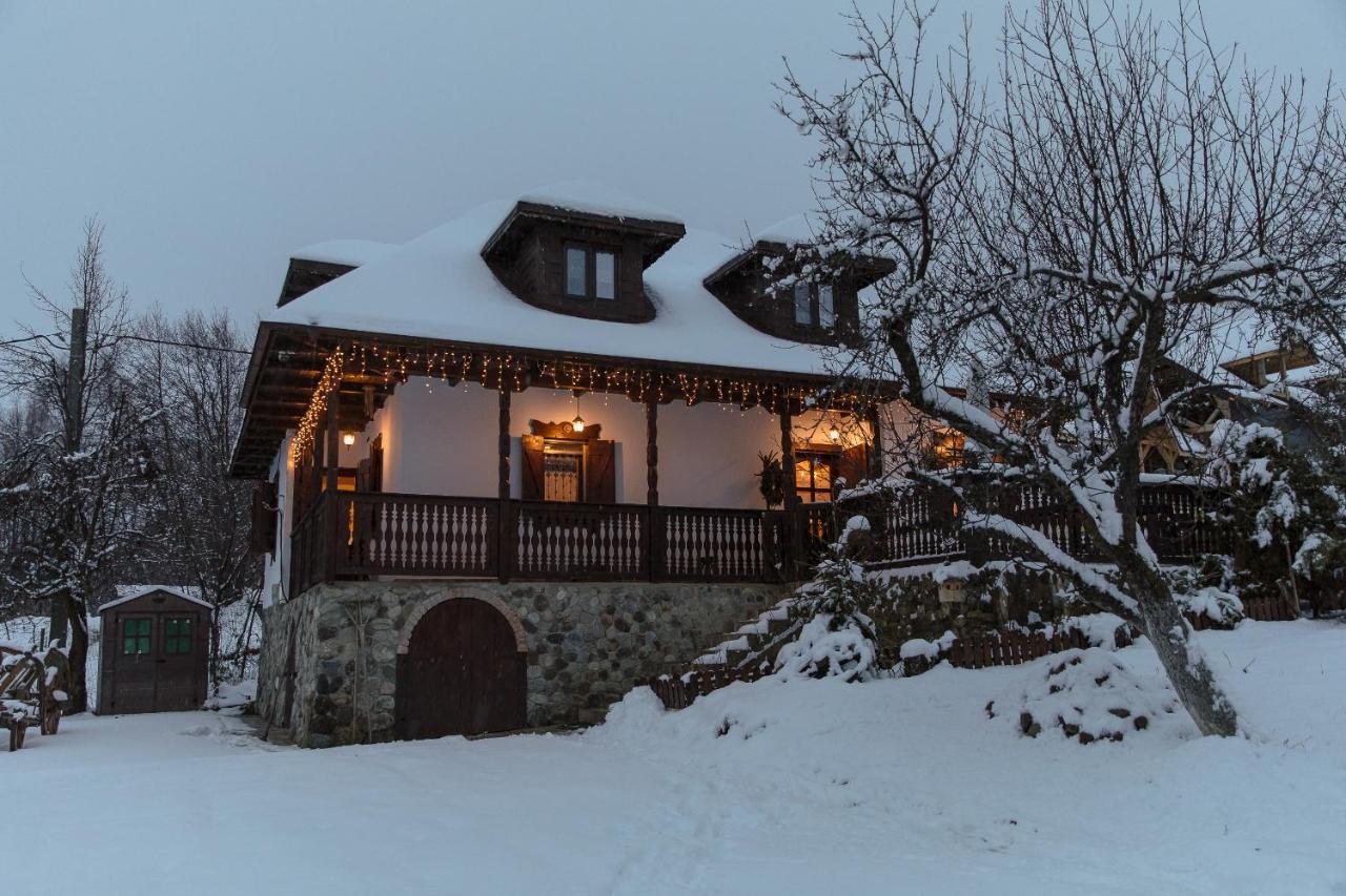 Villa Casa Cu Cerdac à Nucşoara Extérieur photo