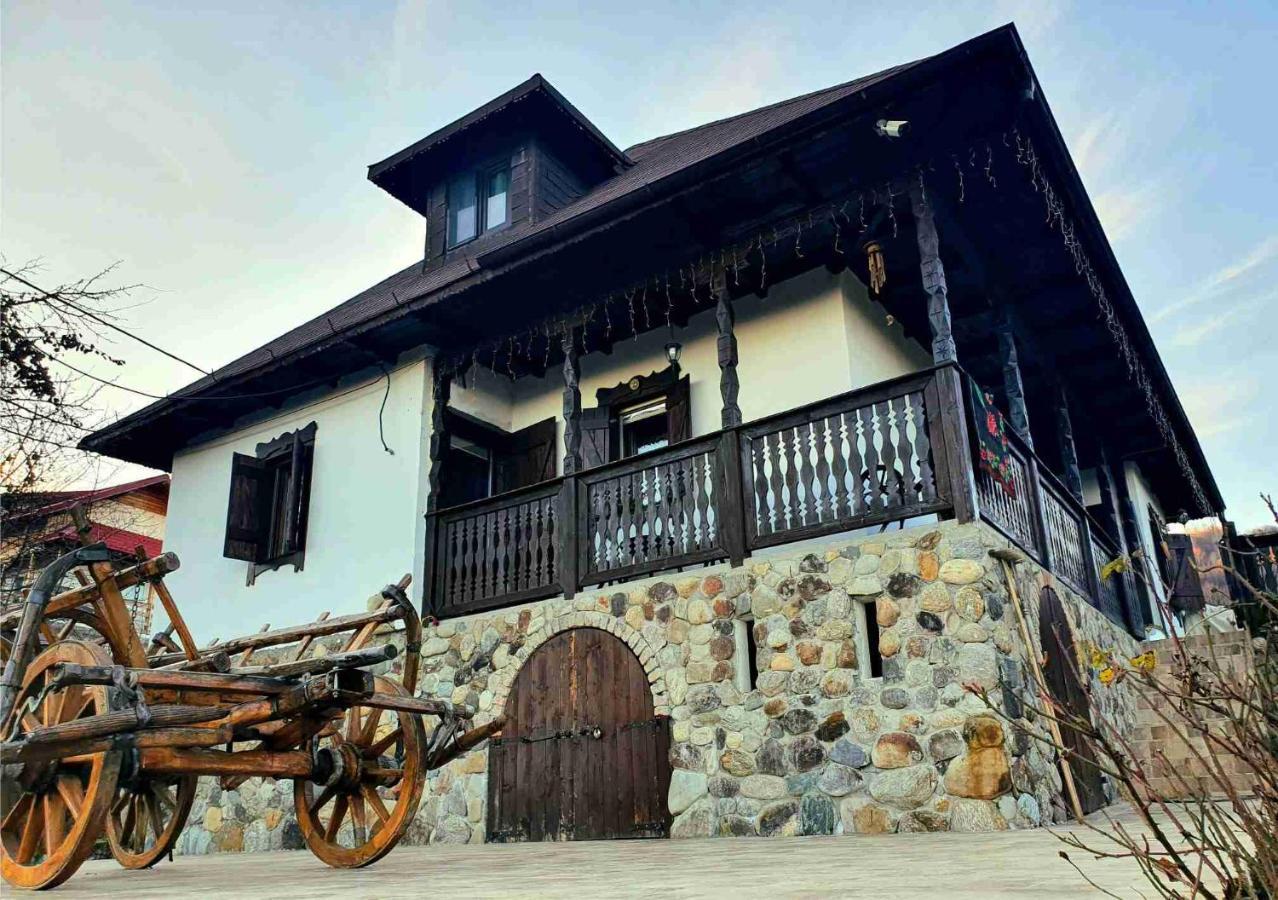Villa Casa Cu Cerdac à Nucşoara Extérieur photo