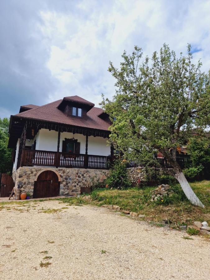 Villa Casa Cu Cerdac à Nucşoara Extérieur photo