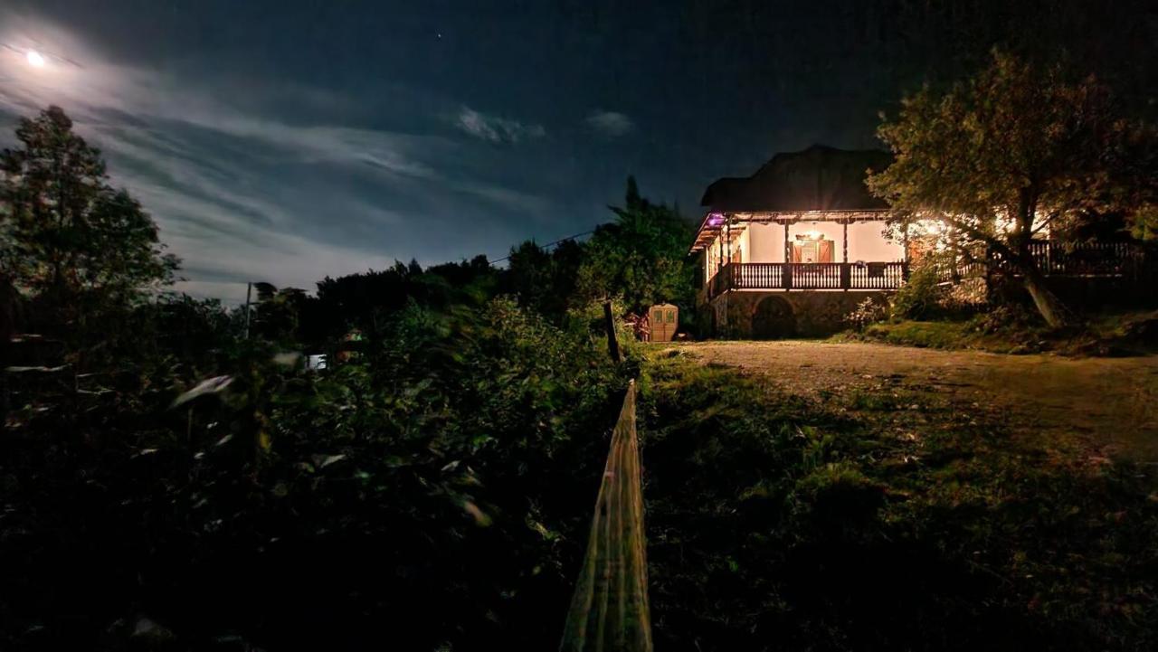 Villa Casa Cu Cerdac à Nucşoara Extérieur photo