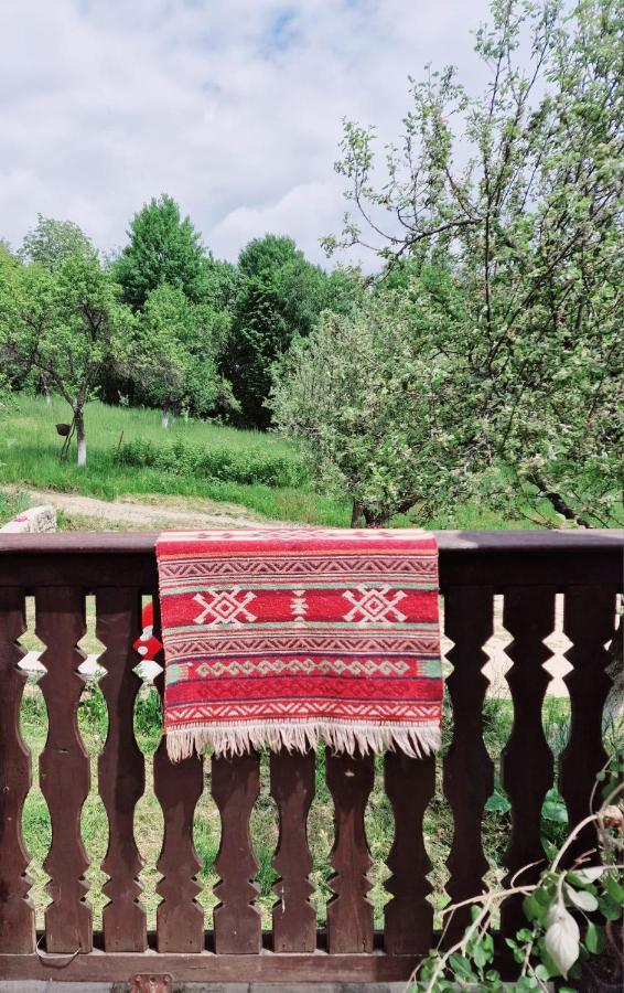 Villa Casa Cu Cerdac à Nucşoara Extérieur photo
